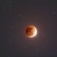 Illustration for article titled Total eclipse of the CAH (Music provided by UkuleleDan)